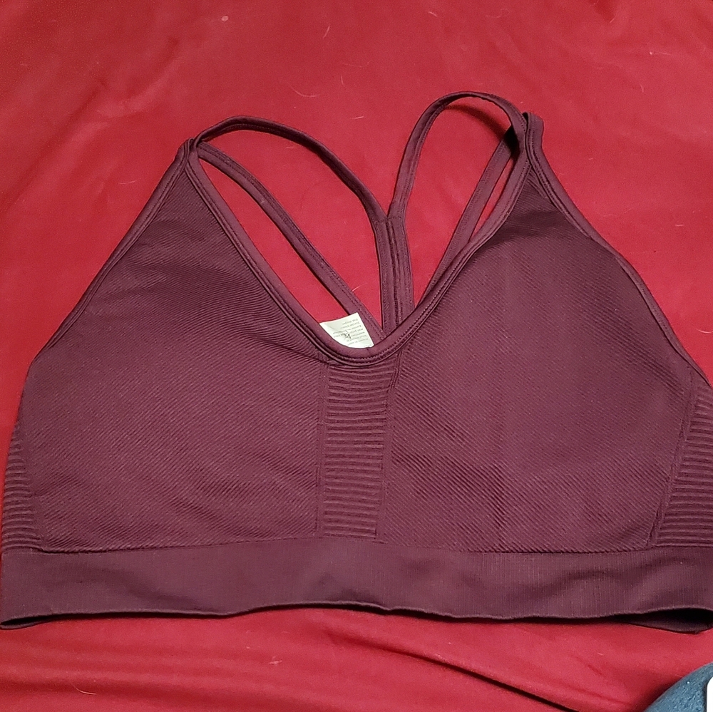 Fabletics Sports Bra